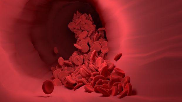 an illustration of red blood cells passing through a blood vessel