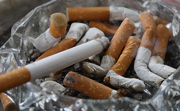 Many used cigarettes in an ashtray