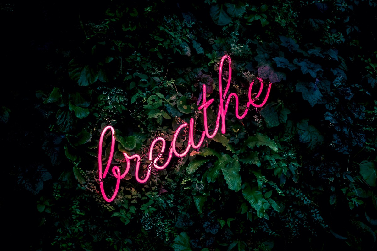 Pink neon breathe sign against wall of green plants