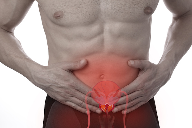 a prostate highlighted within a man
